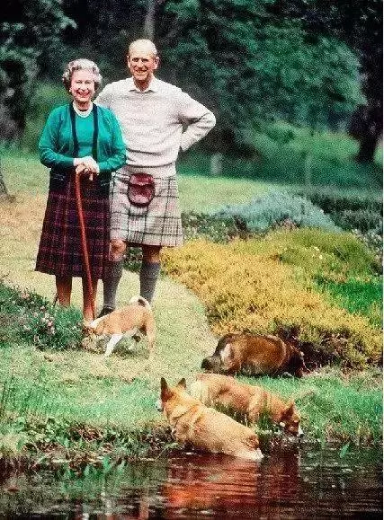 英國女王寵愛柯基70年,這次真的要告別了,再見,一輩子的老朋友