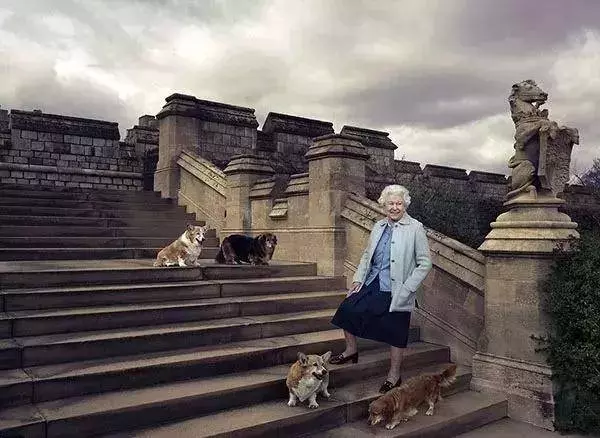 英國女王寵愛柯基70年,這次真的要告別了,再見,一輩子的老朋友