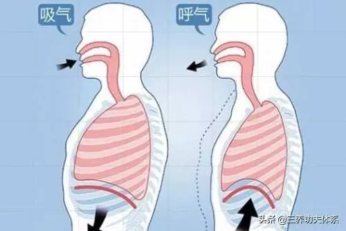 健康呼吸的最高境界胎息(人人可學)