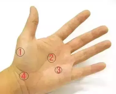 手上這樣按一按,益氣、化瘀、護脾胃!還能美容哦!