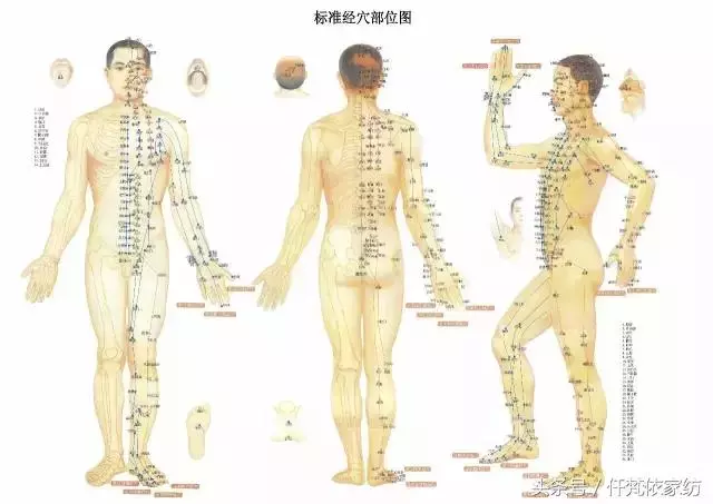 經絡不通,百病纏身, 處百病,調虛實,不可不通
