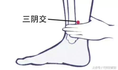 經絡不通,百病纏身, 處百病,調虛實,不可不通
