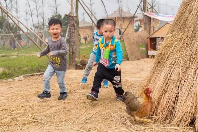 把妹妹給鄉下的姥姥,把哥哥給鄉下奶奶,幾天後,媽媽笑噴了