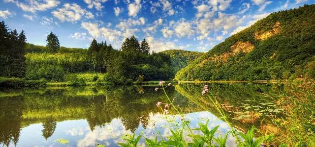 3月16號起橫財入宅,有錢有車有大屋,富的流油5大生肖!