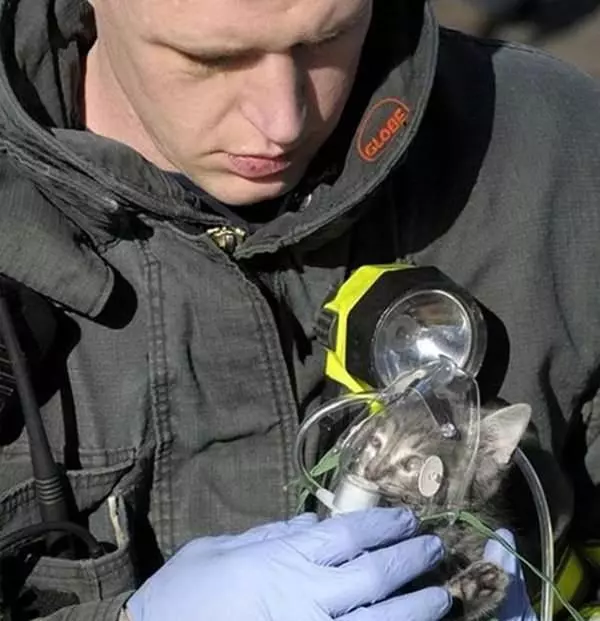 18張溫馨又正能量爆棚的照片及其背後的故事,告訴你這個世界依舊是一個充滿愛的世界!
