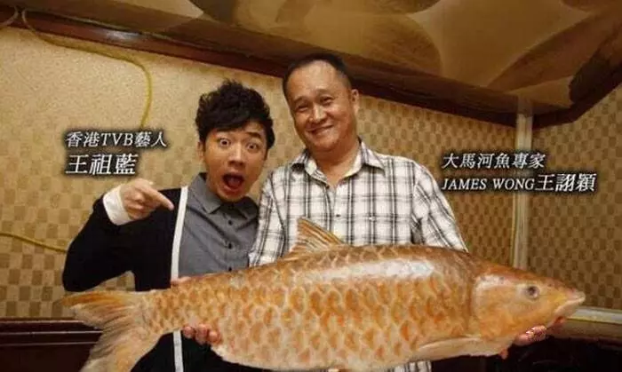 大馬最貴的十種河魚,沒想到排名第一的魚竟然是它!
