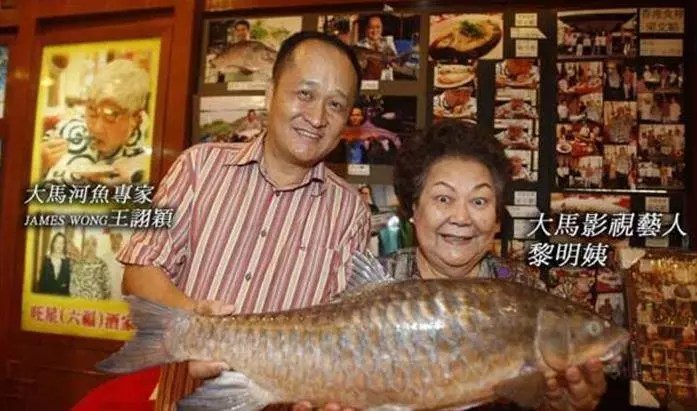 大馬最貴的十種河魚,沒想到排名第一的魚竟然是它!
