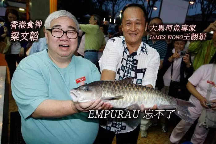 大馬最貴的十種河魚,沒想到排名第一的魚竟然是它!
