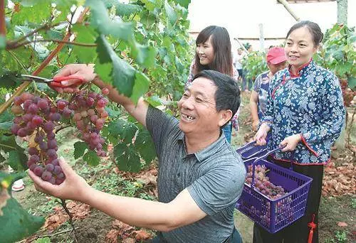 為給兒子買房我去做保姆,接到兒子的簡訊,我淚流滿面