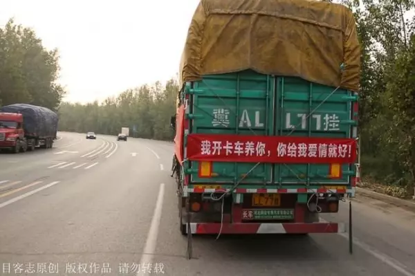正妹在自己開的卡車後面貼上「徵婚啟事」:我養你,只要你給我愛情!