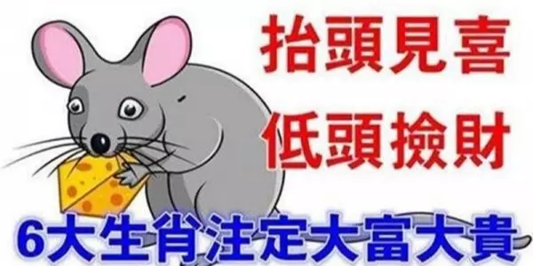 抬頭見喜,低頭撿財的6大生肖,註定一生富貴多金