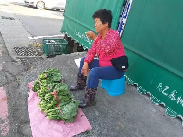 南投孝子天天牽88歲母散步! 媽媽失智他溫柔提醒「我是你兒子」 多年甘之如飴「一天最幸福時光」