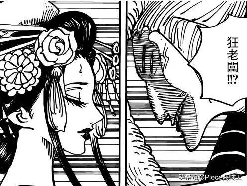 《海賊王》「武士之女」小紫「下線」真相,是否有隱藏陰謀?