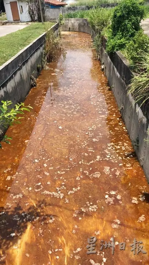 又一單!廢料亂倒住宅溝渠.巴生永安鎮居民心慌慌 - 全國新聞 | | 星洲網 Sin Chew Daily