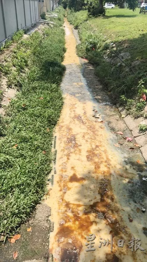 又一單!廢料亂倒住宅溝渠.巴生永安鎮居民心慌慌 - 全國新聞 | | 星洲網 Sin Chew Daily