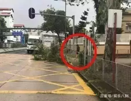 將財產全數捐出的周潤發真實身份曝光,震驚全世界!網:難以置信!