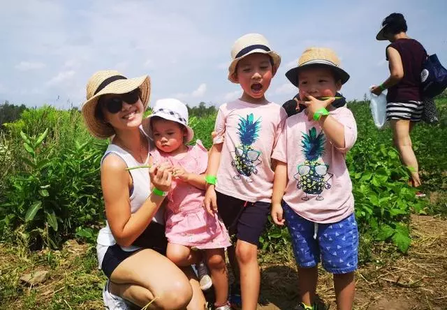 陳豪2個兒子清新俊逸,女兒甜美可愛,港姐媽媽的基因真強大