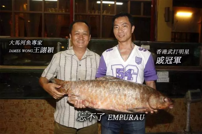 馬來西亞10大最貴的河魚!沒想到這隻價錢排名第一的魚竟然可以賣到RM6000!!