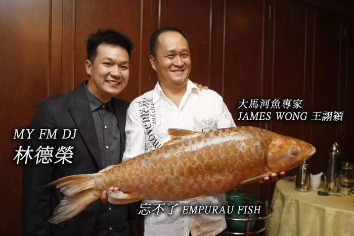 馬來西亞10大最貴的河魚!沒想到這隻價錢排名第一的魚竟然可以賣到RM6000!!