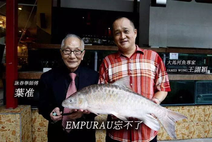 馬來西亞10大最貴的河魚!沒想到這隻價錢排名第一的魚竟然可以賣到RM6000!!