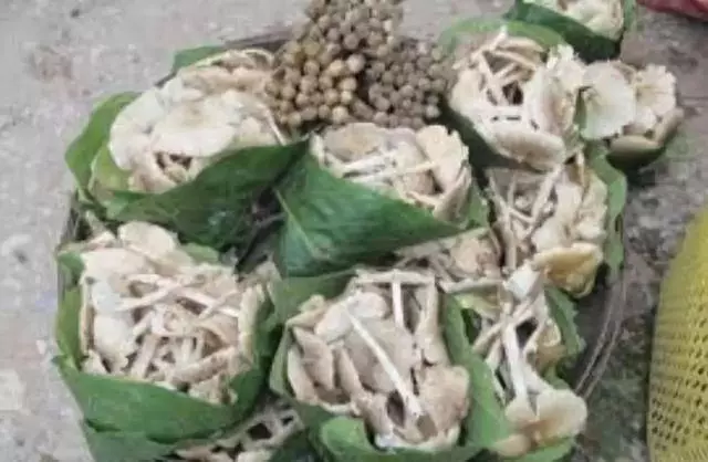 並不是所有的魚都能食用!母親捕撈8條魚,帶回家食用後,兩名孩子丟命!