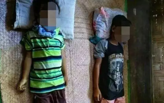 並不是所有的魚都能食用!母親捕撈8條魚,帶回家食用後,兩名孩子丟命!