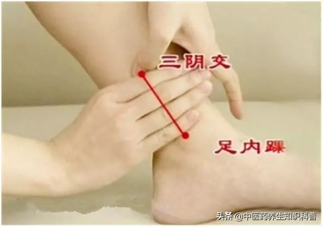 中醫補脾有妙招,常按揉這6個穴位,輕鬆遠離脾胃虛弱