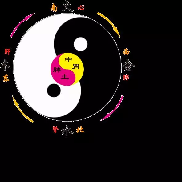 不懂中醫五行，擦什麼化妝品都沒用！學會中醫五行，能讓您變得更健康