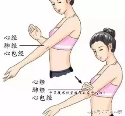 教你從頭到腳拍一拍,氣血暢通生病少