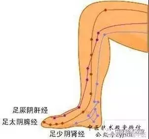 教你從頭到腳拍一拍,氣血暢通生病少