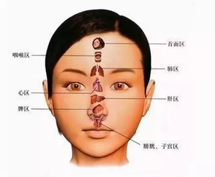 從鼻樑顏色,看肝臟好不好!