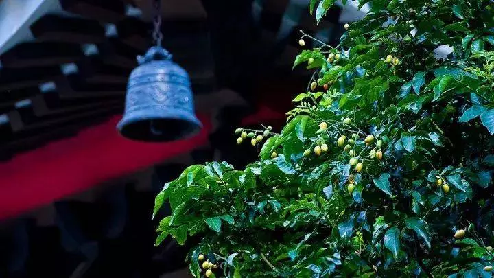 人死後去陰間的全過程,看醒了很多人!