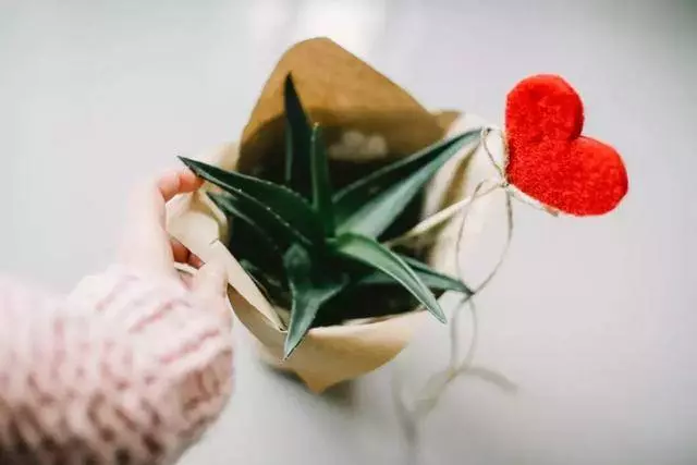 人生最難的修行,是管好自己的嘴