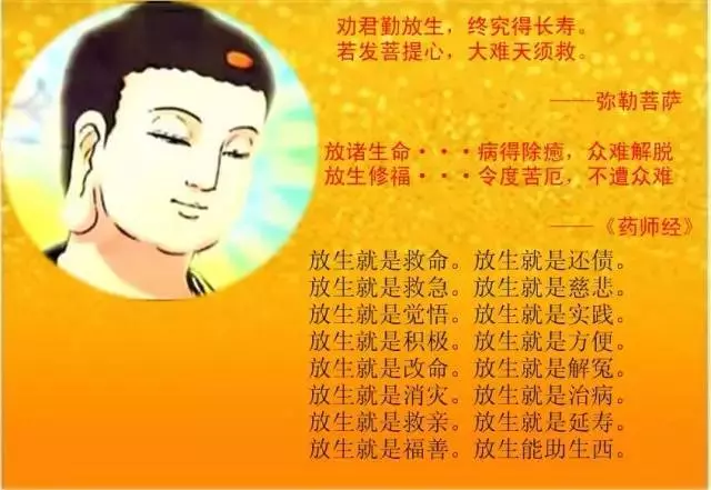 放生蚯蚓的功德,對戒除邪淫的好處(支持個人隨緣放生)