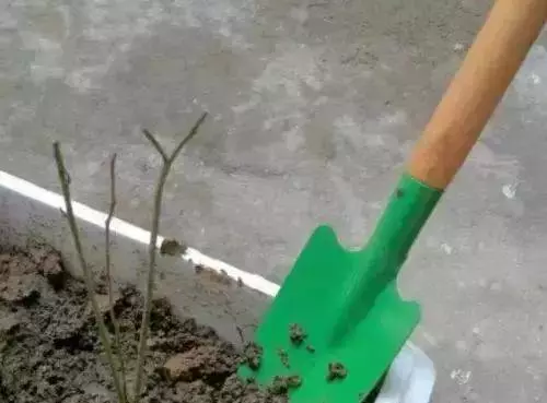 放生蚯蚓的功德,對戒除邪淫的好處(支持個人隨緣放生)