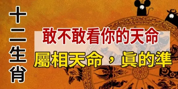 你屬什麼天命,就是什麼!