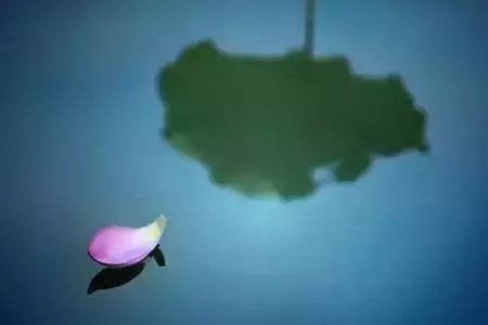 故事很短,卻說出了人性!最後一條厲害了!
