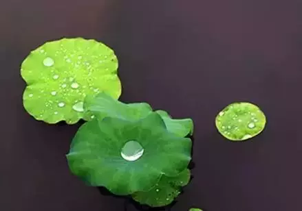 故事很短,卻說出了人性!最後一條厲害了!
