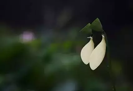 故事很短,卻說出了人性!最後一條厲害了!