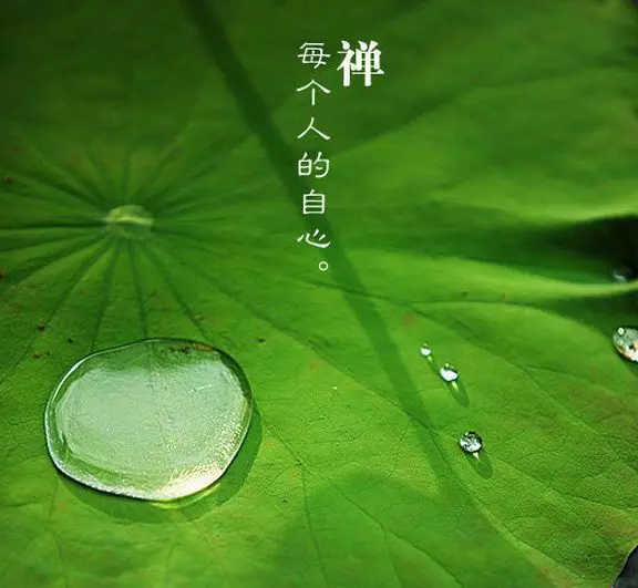 故事很短,卻說出了人性!最後一條厲害了!