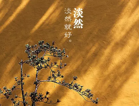 故事很短,卻說出了人性!最後一條厲害了!