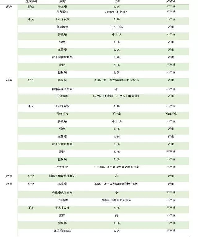 寵物沒有必要絕育?絕育的利弊你知道哪些?