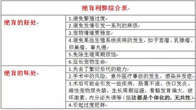 寵物沒有必要絕育?絕育的利弊你知道哪些?