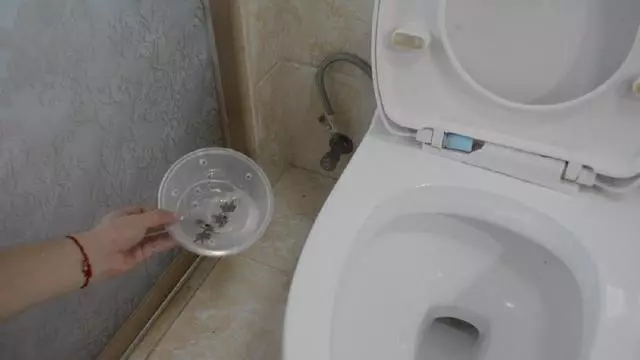 把八角泡在白醋中,家家戶戶都用到