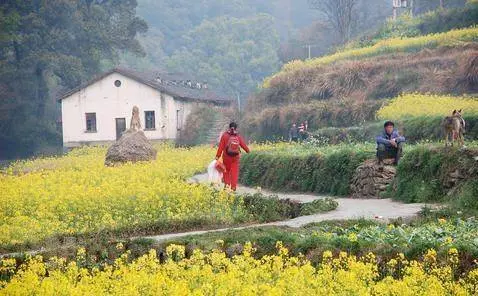 兒子是老闆,每月寄一萬塊回家,7歲孫女卻對爺爺說:爸爸早沒啦