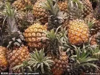 菠蘿——原來對心臟病有奇效,家裡有病人的趕緊收藏