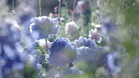 女人多吃這個菜,腰上贅肉全無,還能防曬嫩膚!