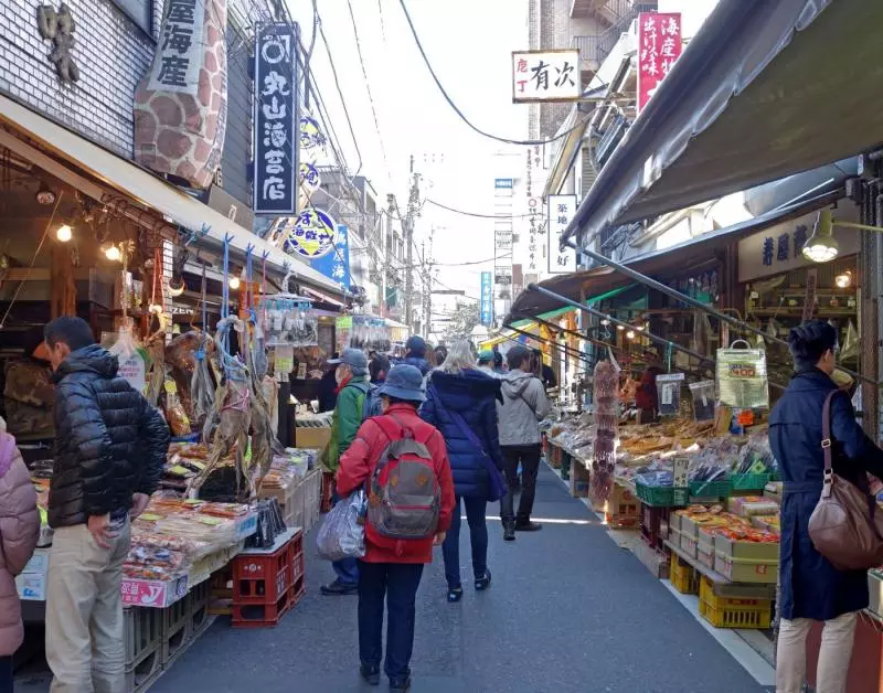 【2019日本自由行】暢玩日本東京5天4夜!5000元跑遍所有熱門景點