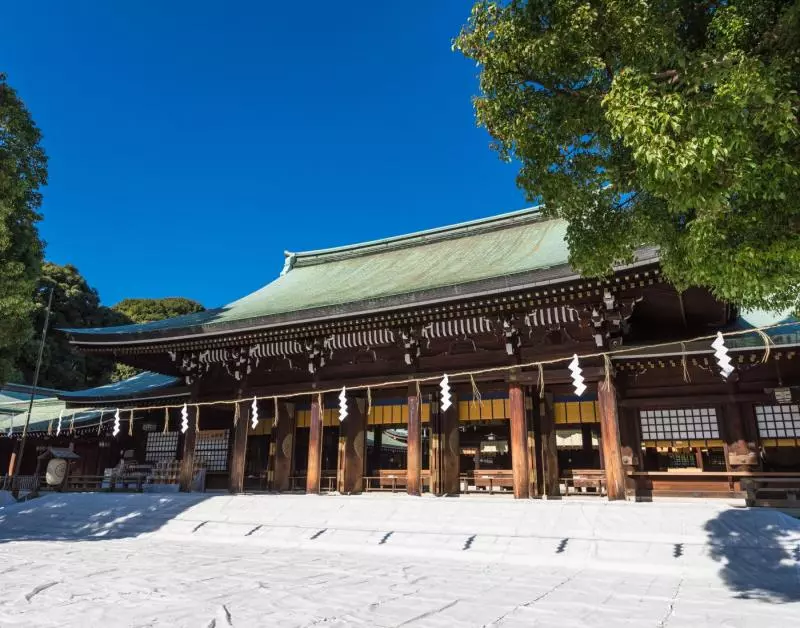 【2019日本自由行】暢玩日本東京5天4夜!5000元跑遍所有熱門景點