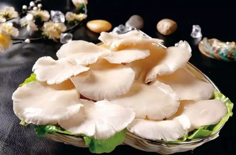 別把蘑菇的營養都浪費了!不同蘑菇的做法,趕緊收藏